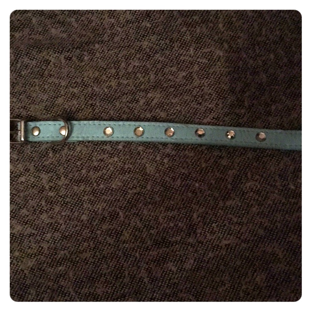 Baby blue collar